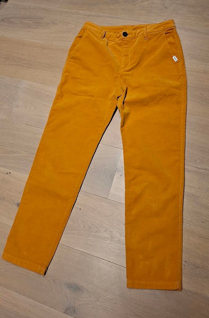Nieuw dames set Penn&Ink broek en sweater, Verzenden, Nieuw, Oranje, Maat 36 (S)