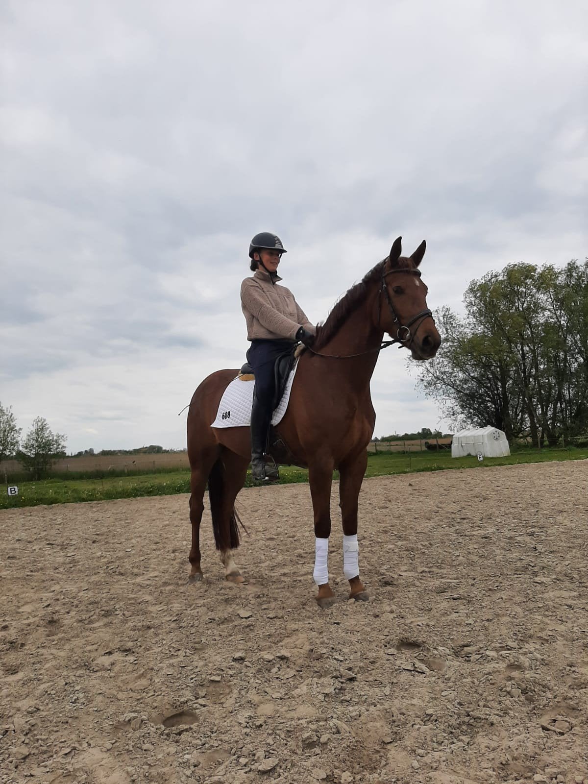 4 jarige merrie, Dieren en Toebehoren, Merrie, B, Dressuurpaard, 3 tot 6 jaar
