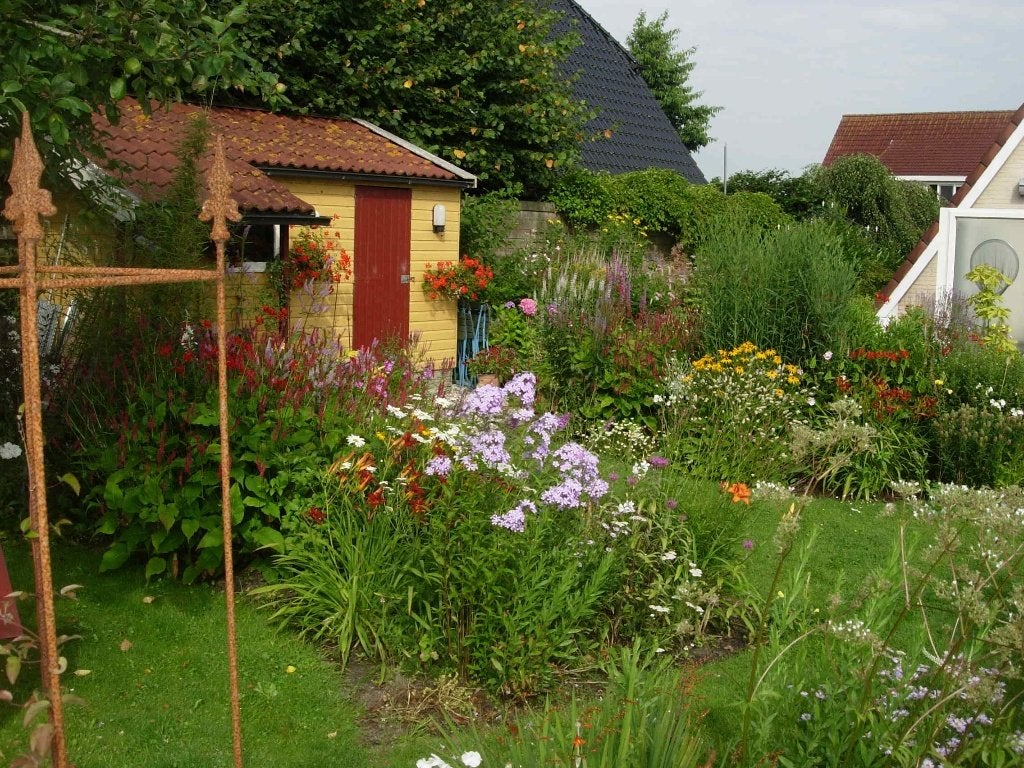 planten  tuinplanten, Ophalen, Overige soorten, Halfschaduw