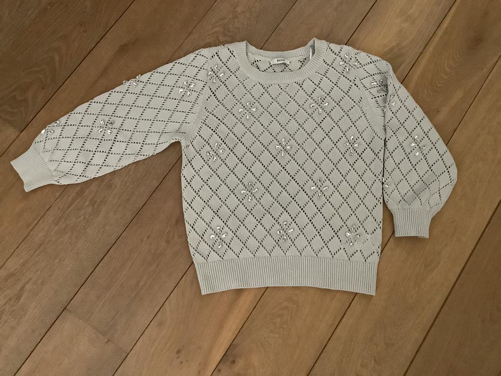 Trui van Anna licht grijs, Ophalen of Verzenden, Nieuw, Maat 38/40 (M), Grijs
