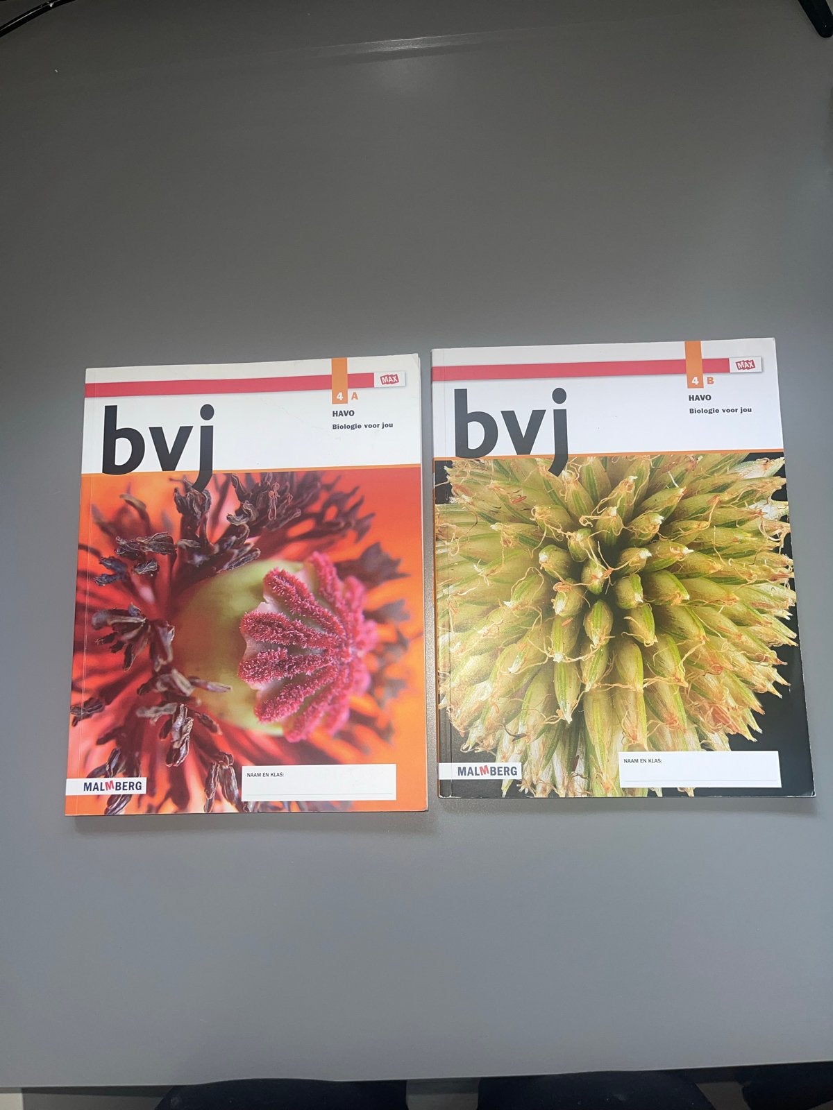 Biologie voor jou 4A en 4B HAVO - Malmberg, Ophalen of Verzenden, Gelezen, HAVO, Biologie