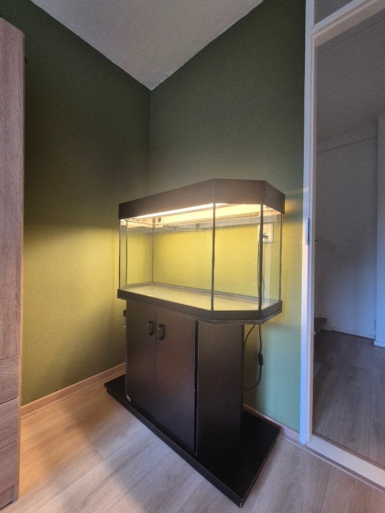 Aquarium/terrarium +/- 210L incl. kast, Ophalen, Gebruikt, Terrarium of Paludarium