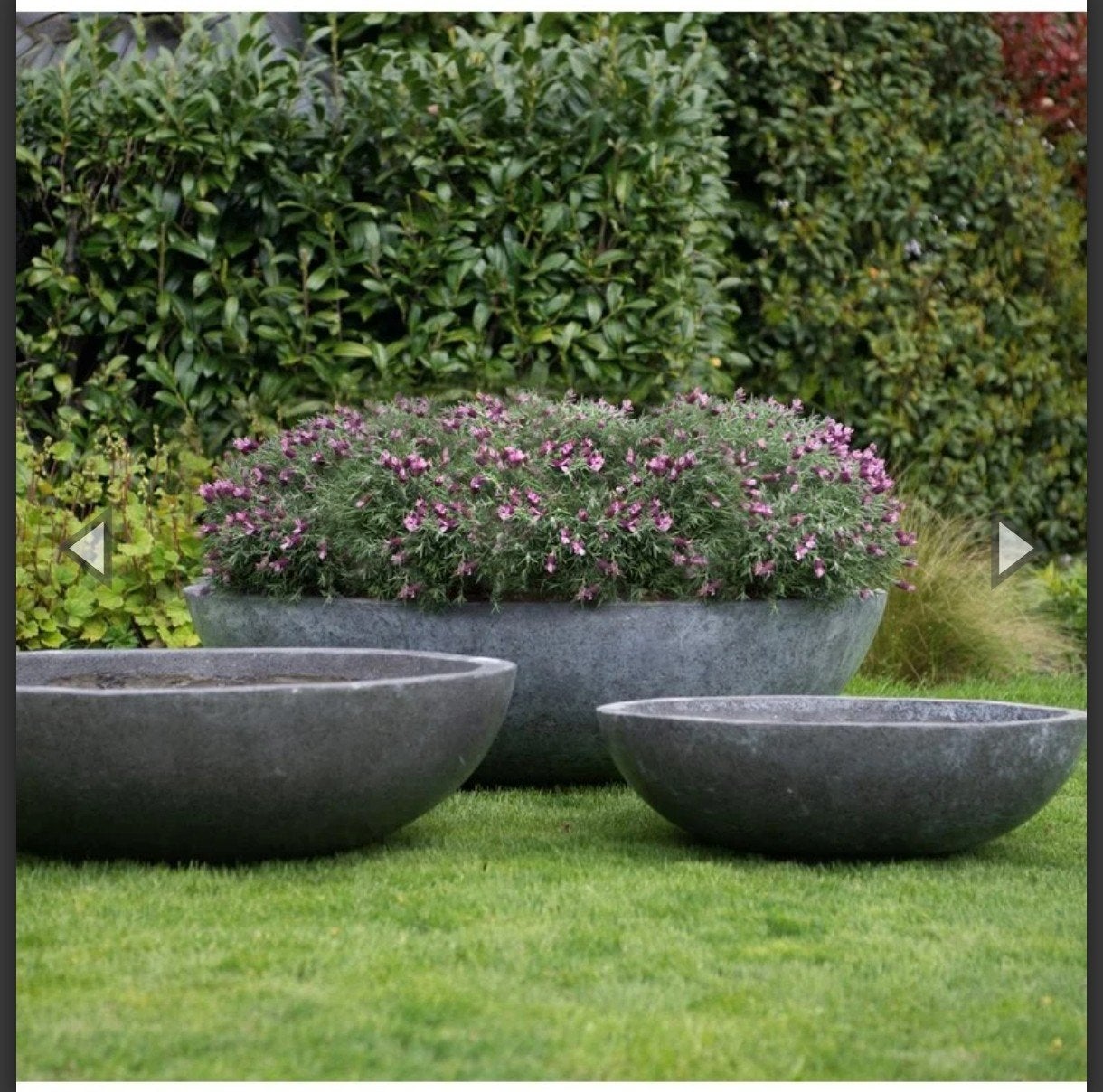 Gezocht; plantenschaal beton, 100 cm of meer, Rond, Ophalen of Verzenden, Zo goed als nieuw