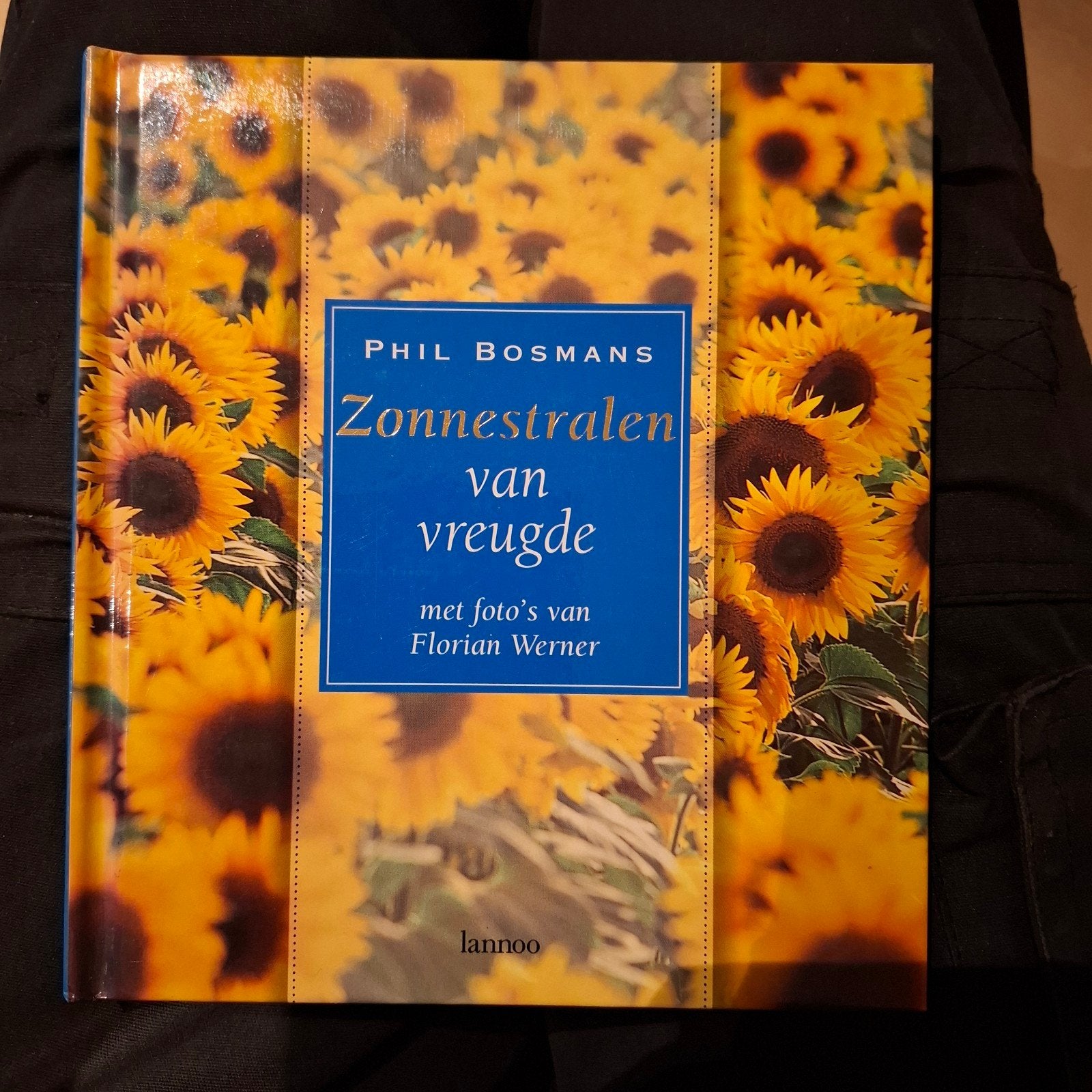 Zonnestralen van Vreugde - Phil Bosmans, Boeken, Ophalen of Verzenden, Zo goed als nieuw, Phil Bosmans, Nederland