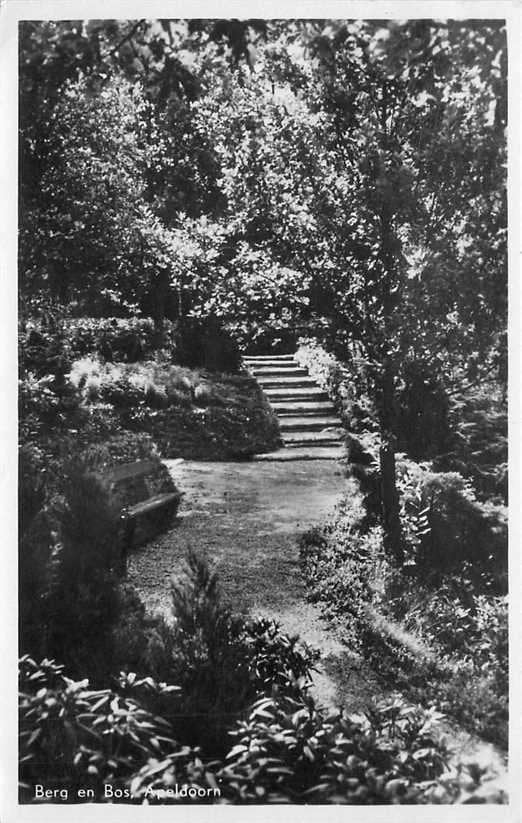 380-899-003 Apeldoorn Berg en Bos, Verzenden, Voor 1920, Gelderland