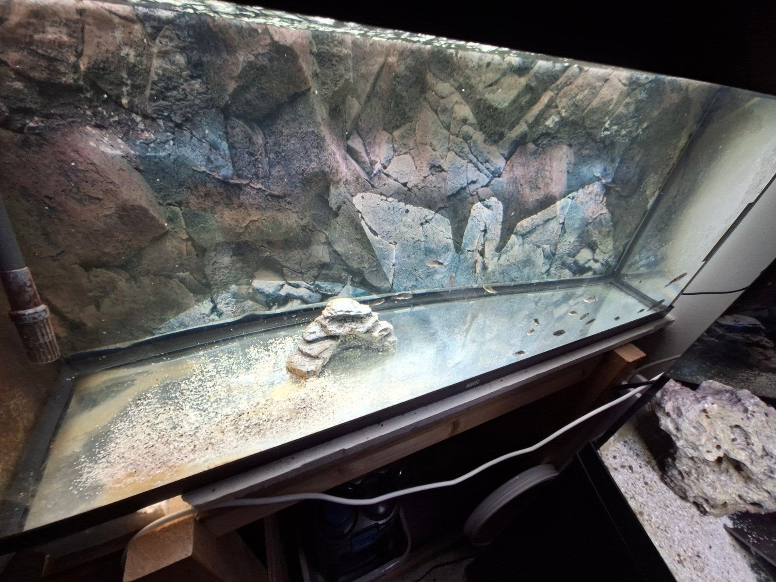 te koop juwel rio 240 liter 2 1/2 jaar oud, Dieren en Toebehoren, Ophalen, Inclusief deksel, Gebruikt, Leeg aquarium