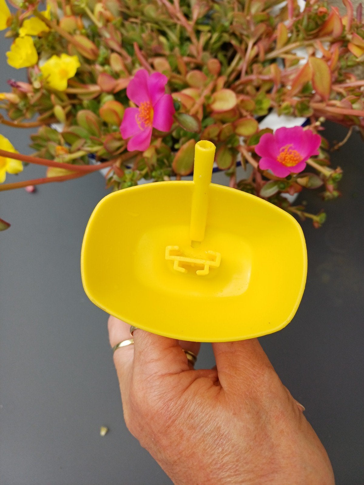 IJslolly houder met ingebouwd rietje - Geel, Ophalen of Verzenden