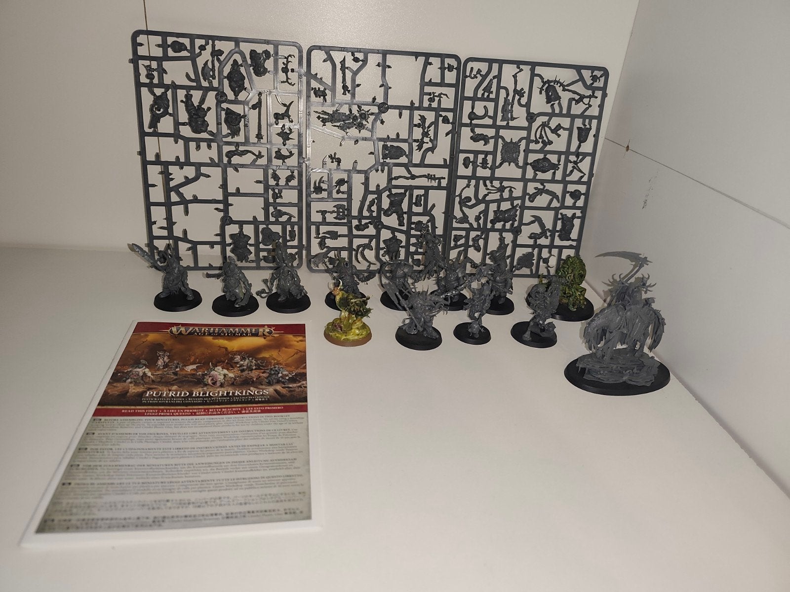 Warhammer Age of Sigmar Maggotkin, Ophalen of Verzenden, Gebruikt, Warhammer, Figuurtje(s)