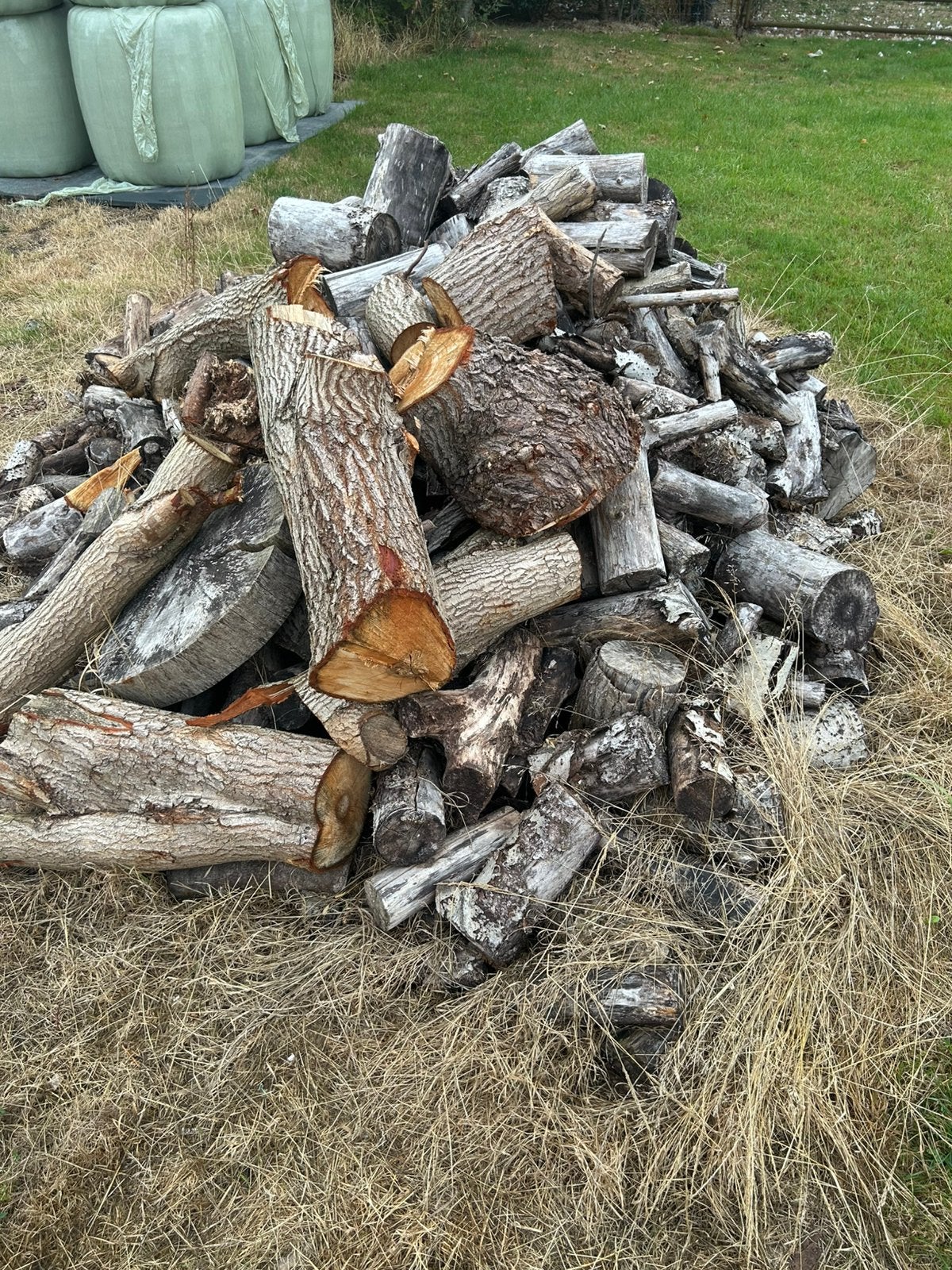 Stamhout openhaardhout, Tuin en Terras, Haardhout, Minder dan 3 m³, Ophalen, Overige houtsoorten, Stammen