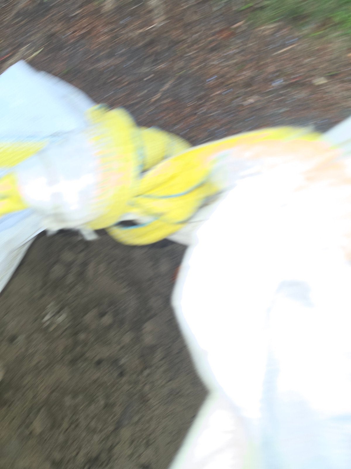big bag wit zand ophoogzand, Ophalen, Ophoogzand