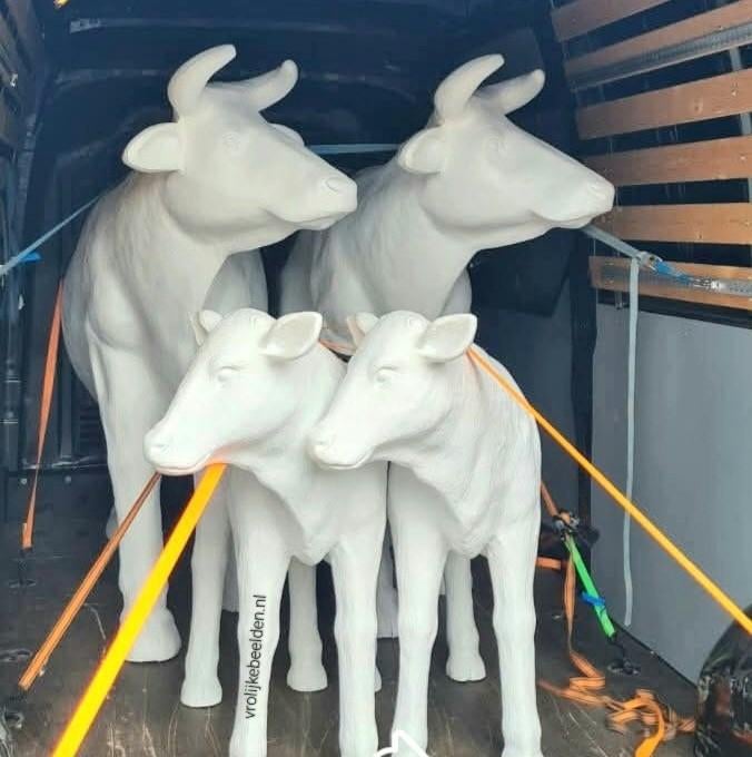 Koe beeld, polyester geit, varken, lammetje, kalf beeld, Ophalen, Nieuw, Kunststof, Dierenbeeld