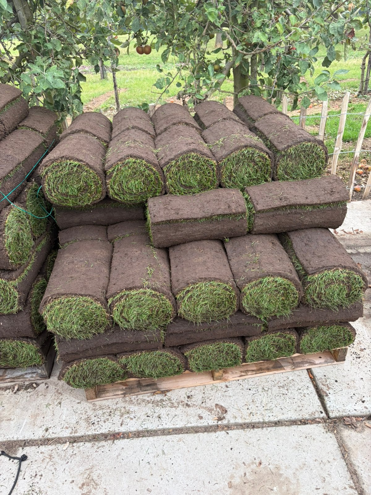 Sedum matten en gras matten mooie bodem bedekking in uw tuin, Ophalen of Verzenden, Volle zon