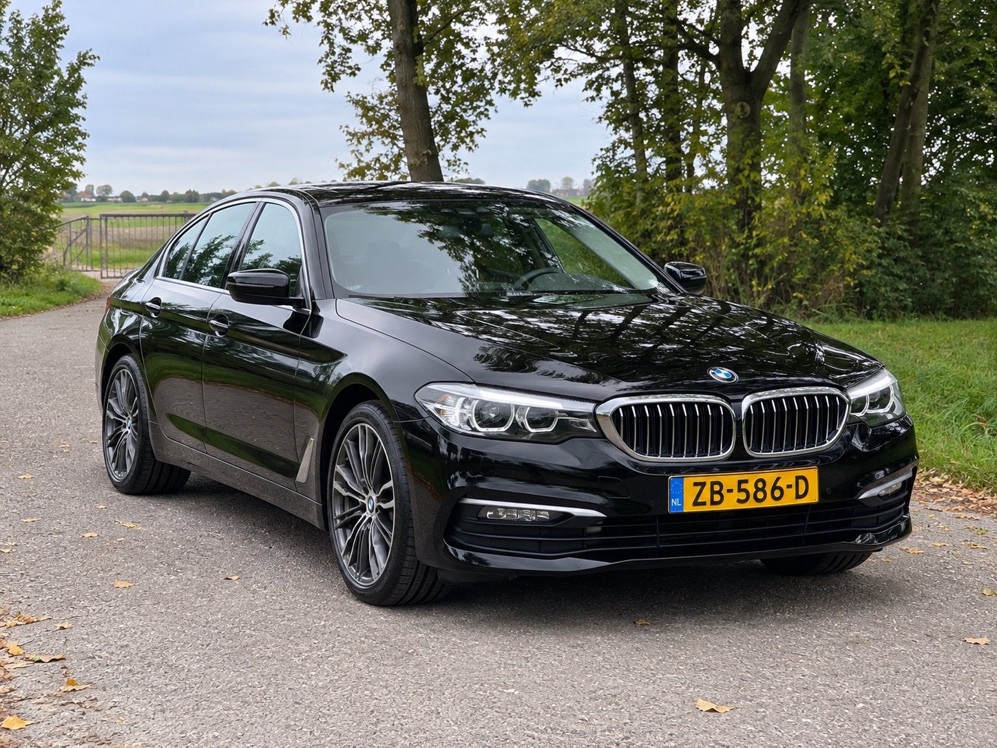 BMW 5-Serie 520i 184pk Aut. 2019 Zwart, 1998 cc, Achterwielaandrijving, 4 cilinders, 2000 kg