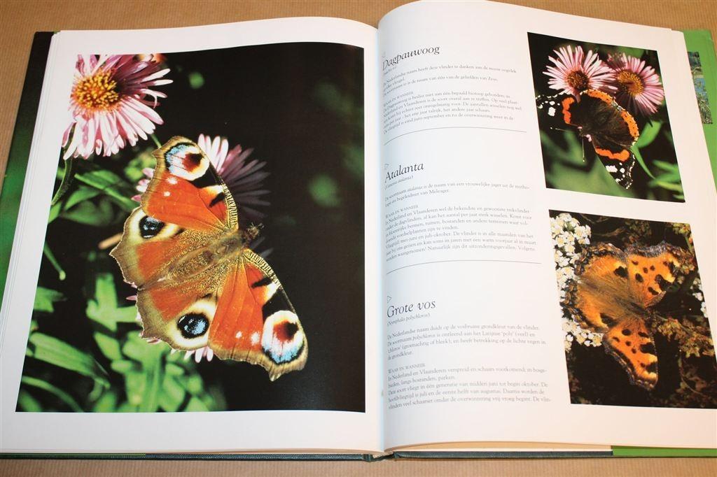Dagvlinders — Fotogids Van De Lage Landen, Ophalen of Verzenden, Zo goed als nieuw