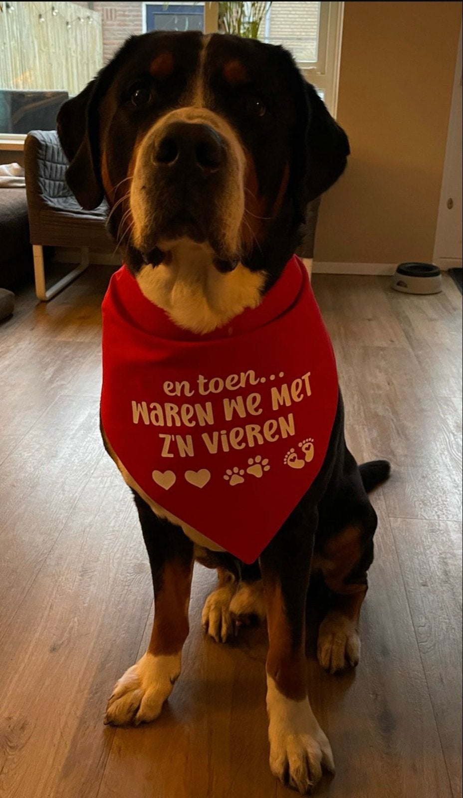 Rode bandana voor een grote hond zwangerschapsaankondiging, Overige merken, Ophalen of Verzenden, Zo goed als nieuw, Overige typen