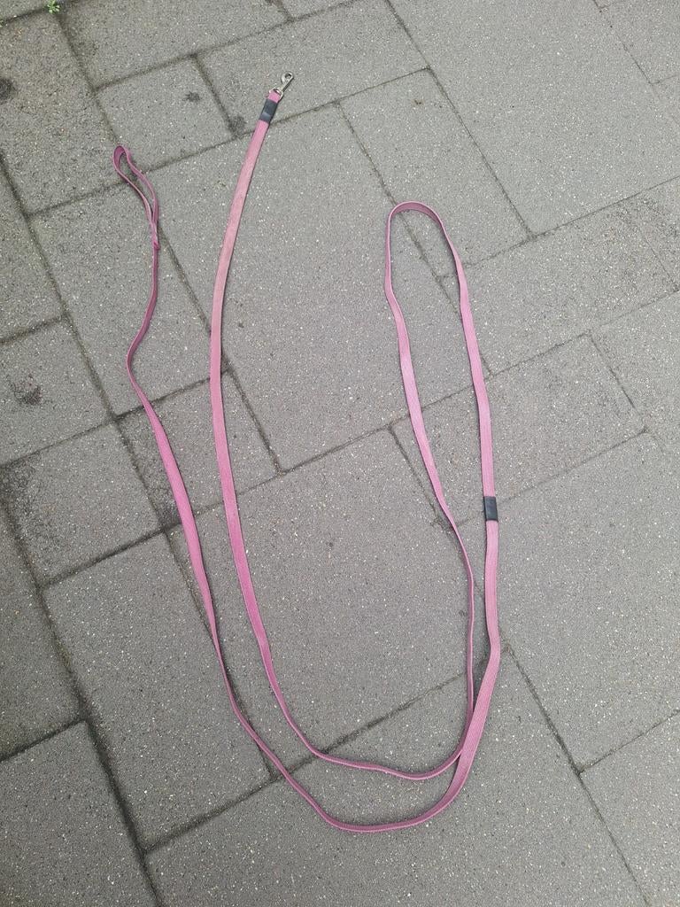 Verzameling van 11 hondenriemen, Dieren en Toebehoren, Ophalen of Verzenden, Gebruikt, Hondenriem