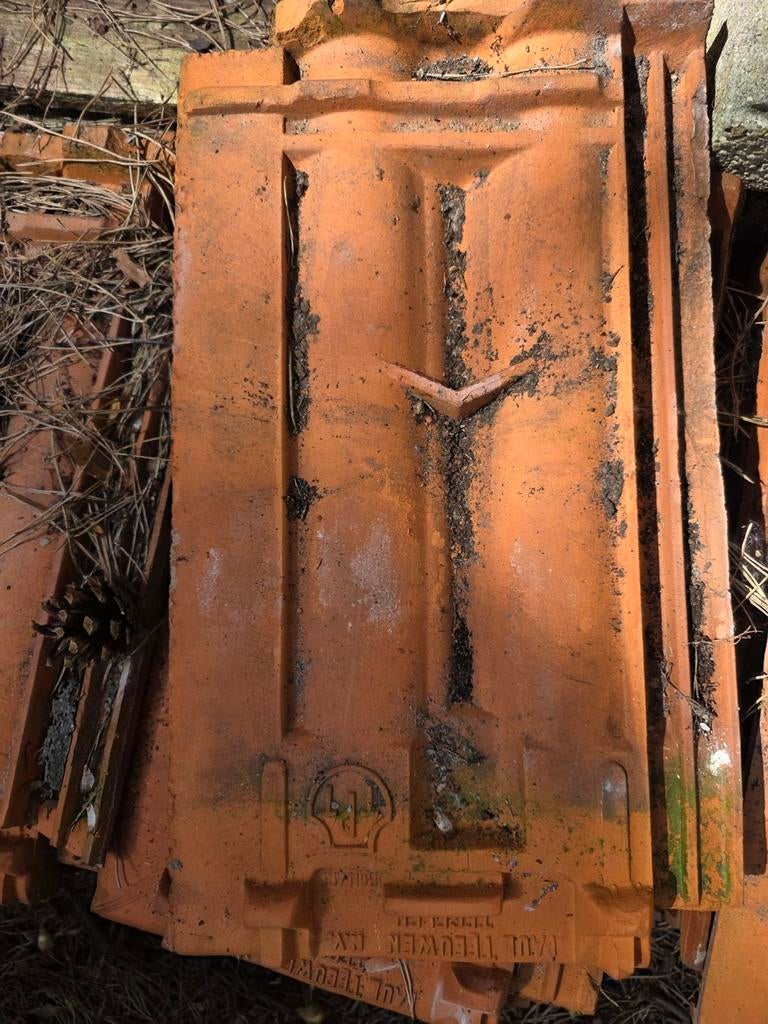 Dakpannen merk Paul Teeuwen tegelen, Ophalen of Verzenden, Steen of Klei, Minder dan 5 m², Dakpannen