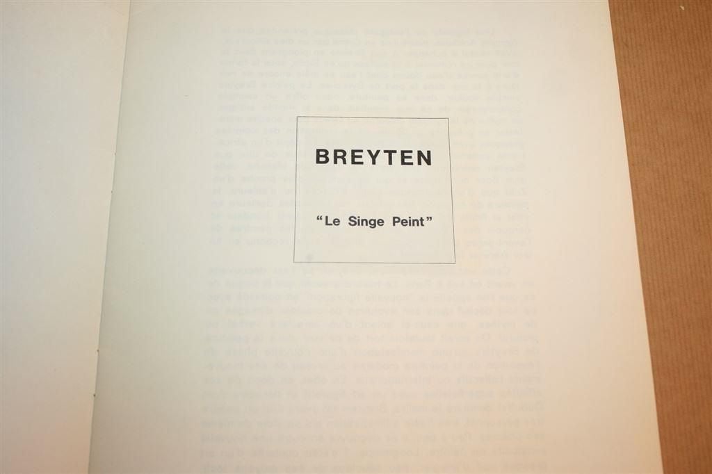 Breyten - Le singe peint, Ophalen of Verzenden, Gelezen