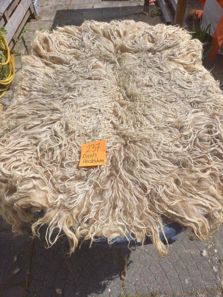 nr 237 Geschoren vacht van een Drents Heideschaap, Ophalen of Verzenden, Gebruikt