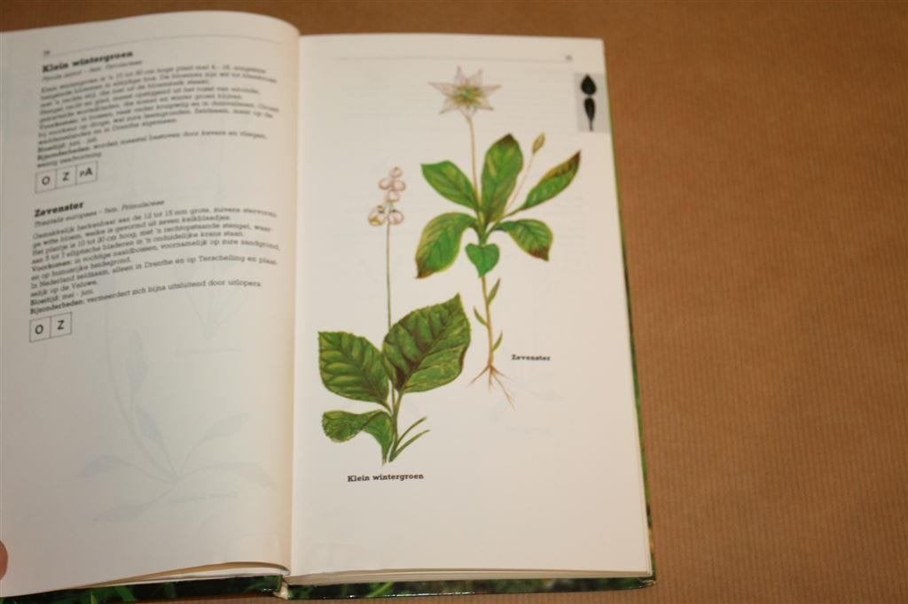 Zakflora voor de duin- en kuststreek, Boeken, Ophalen of Verzenden, Gelezen
