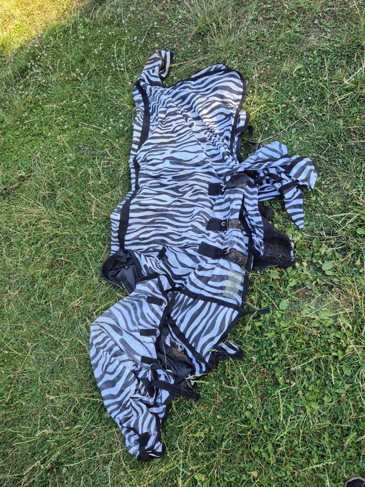 Vliegendeken zebra  165 cm, Dieren en Toebehoren, Ophalen of Verzenden