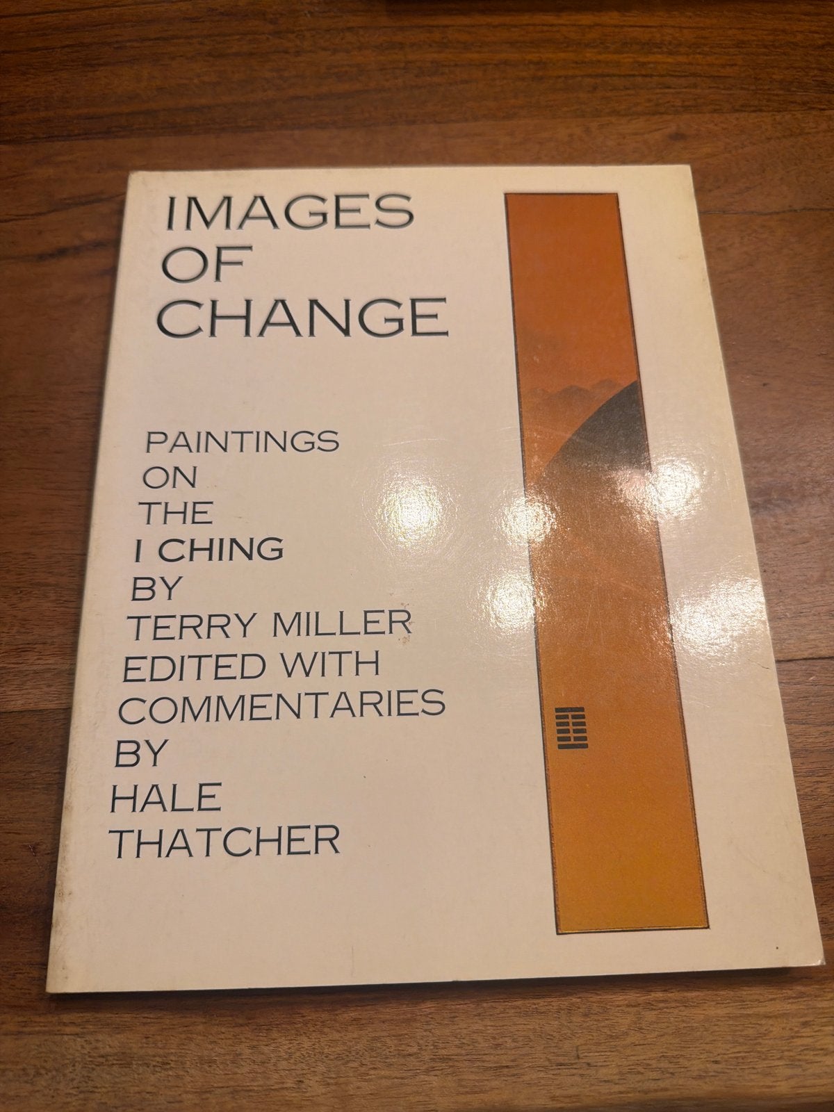 Images of Change: Paintings on the I Ching - Terry Miller, Ophalen of Verzenden, Gelezen, Amerika