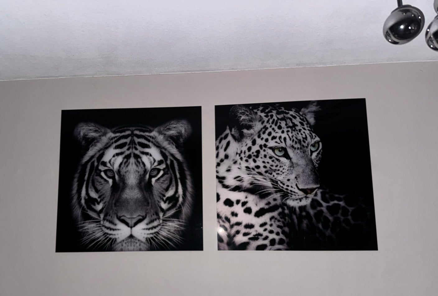 Set van 2: Tijger en Luipaard Canvas Prints, Huis en Inrichting, Ophalen, 50 – 75, 50 tot 75 cm, Print