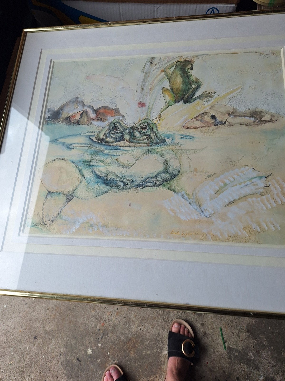 schilderij met kikkers, Ophalen, Zo goed als nieuw, 50 tot 75 cm, Schilderij