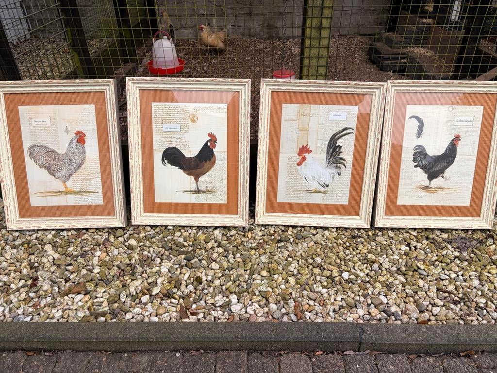 Kippen schilderijen in lijst, Huis en Inrichting, Woonaccessoires | Schilderijen, Tekeningen en Foto's, Ophalen, Minder dan 50 cm