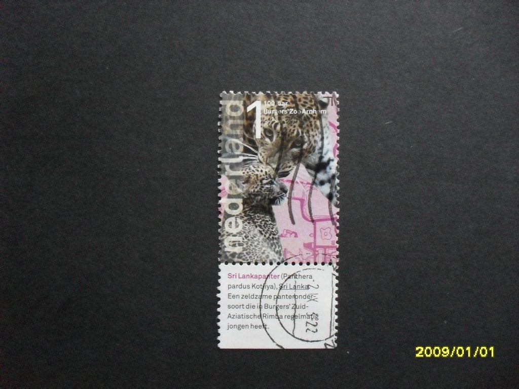 Uit 100 jaar Burgers Zoo NVPH 3028 met tab, Ophalen, Na 1940, Gestempeld