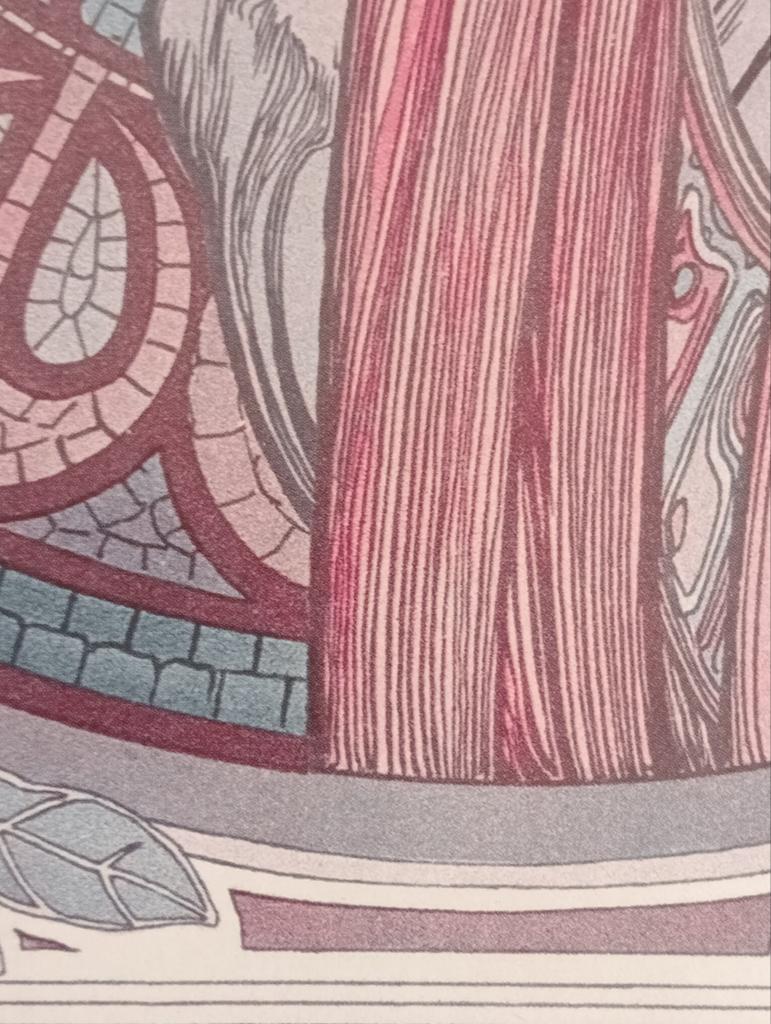 Alfonse Mucha print., Ophalen of Verzenden