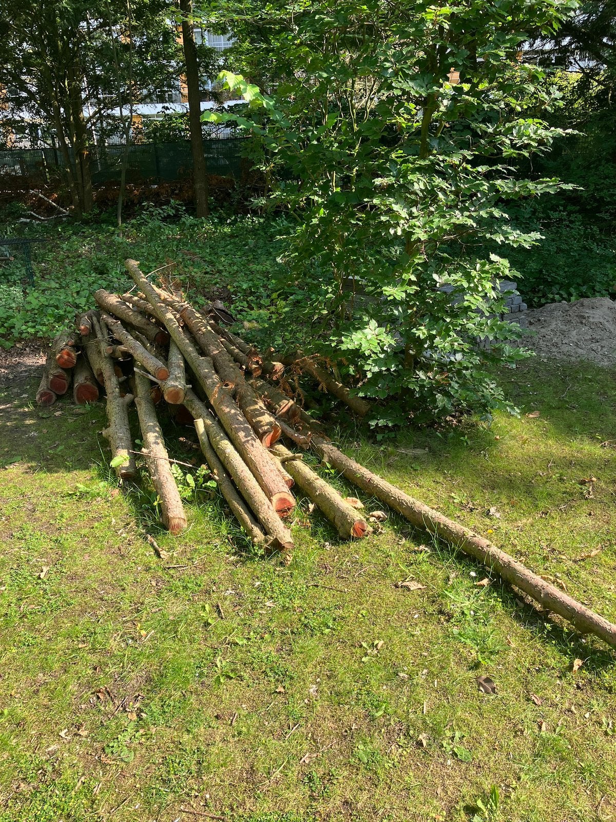 Prachtig taxushout, Minder dan 3 m³, Ophalen