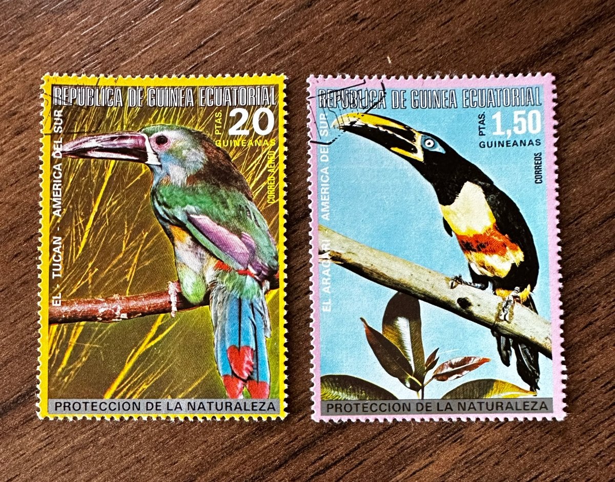Equatoriaal-Guinea 1874 Vogels Gestempeld Postzegels, Ophalen of Verzenden, Gestempeld