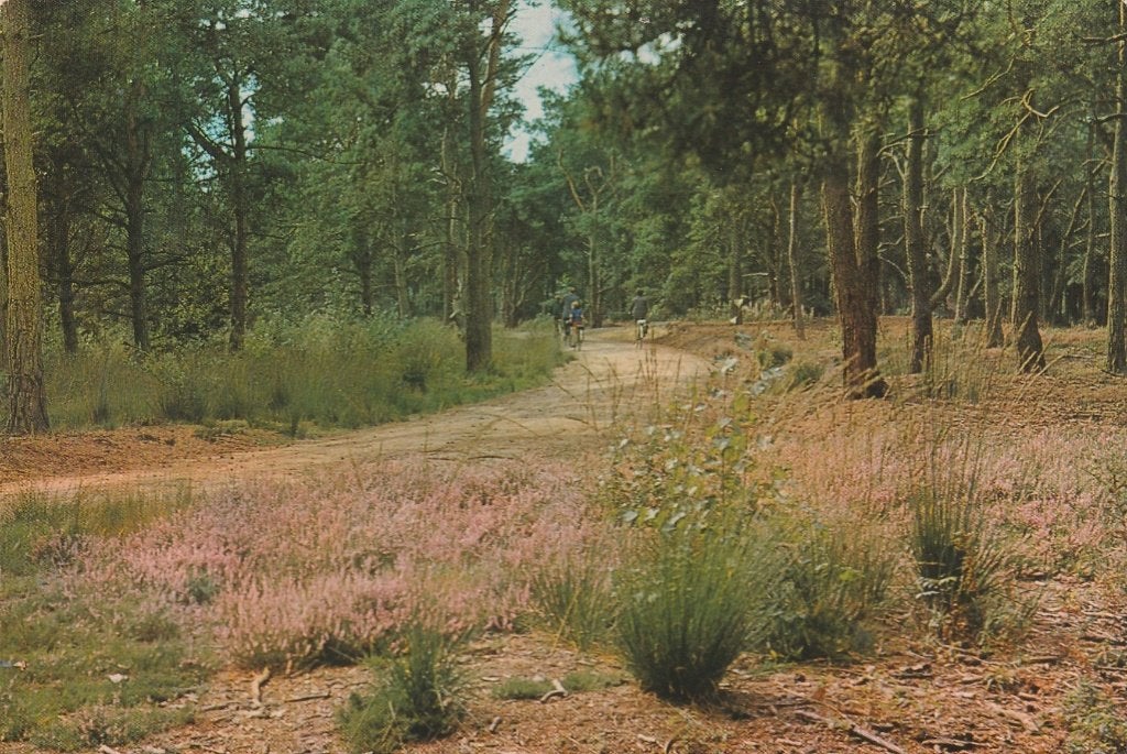 AMERICA Het Meerdal, Verzenden, 1980 tot heden, Gelopen, Limburg