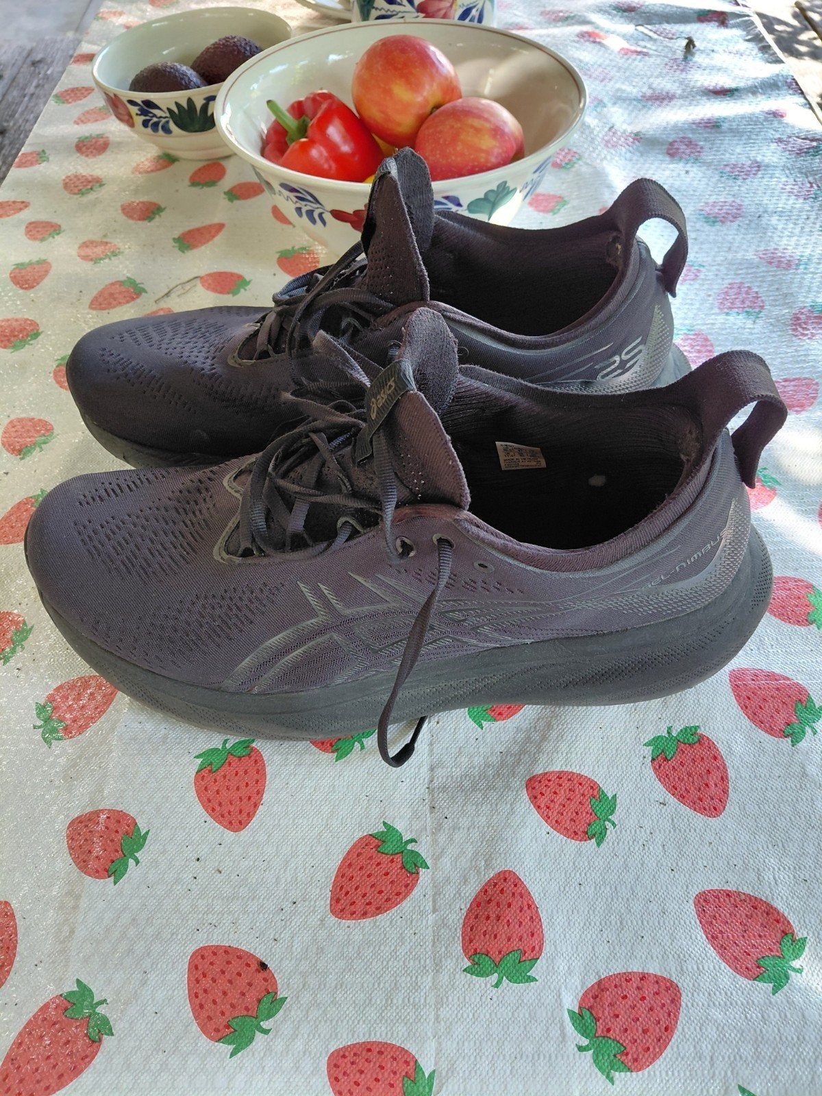 ASICS Gel-Nimbus 25 Hardloopschoenen - Maat 47, Sport en Fitness, Loopsport en Atletiek, Gebruikt, Hardloopschoenen, Ophalen of Verzenden