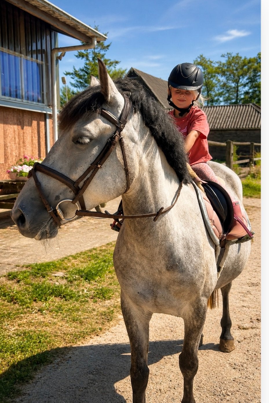 5 jarige kinderpony, recreatie/buitenrit, Merrie, Met stamboom, 3 tot 6 jaar, L