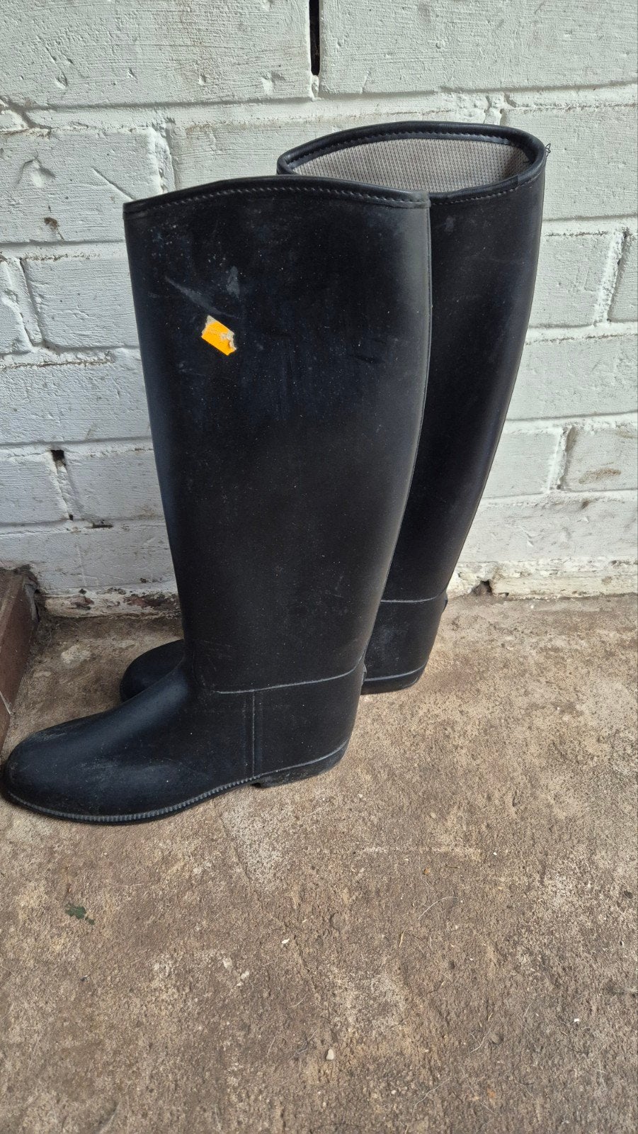 Paardrijlaarzen gevoerd, Dieren en Toebehoren, Paardrijkleding, Ophalen of Verzenden, Zo goed als nieuw, Zwart, Waterdicht