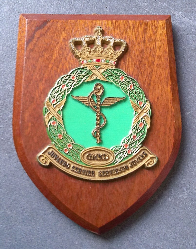 Wapenschild Geneeskundige Dienst Koninklijke Luchtmacht, Verzenden, Luchtmacht, Nederland, Overige typen