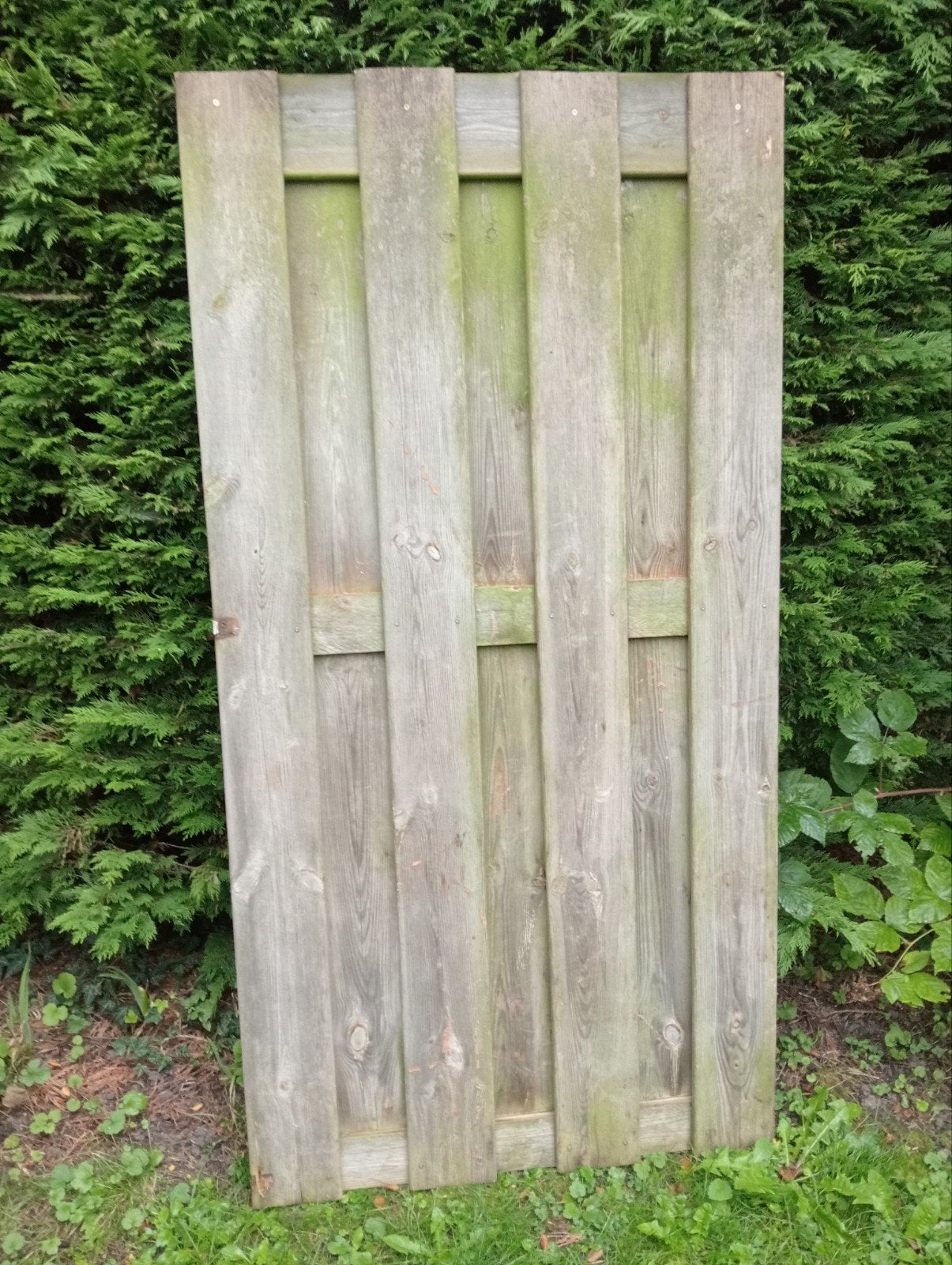 Schuttingdeel 166x85 cm, Tuin en Terras, Ophalen, Gebruikt, Hout, 1 tot 2 meter