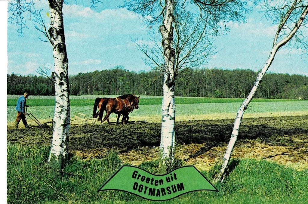 Ootmarsum, paarden, Ophalen of Verzenden, Gelopen, Overijssel