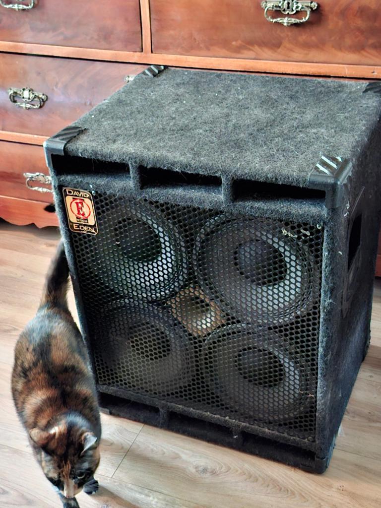 Eden 410XLT Bass Cabinet, Ophalen, Gebruikt, Basgitaar, 100 watt of meer