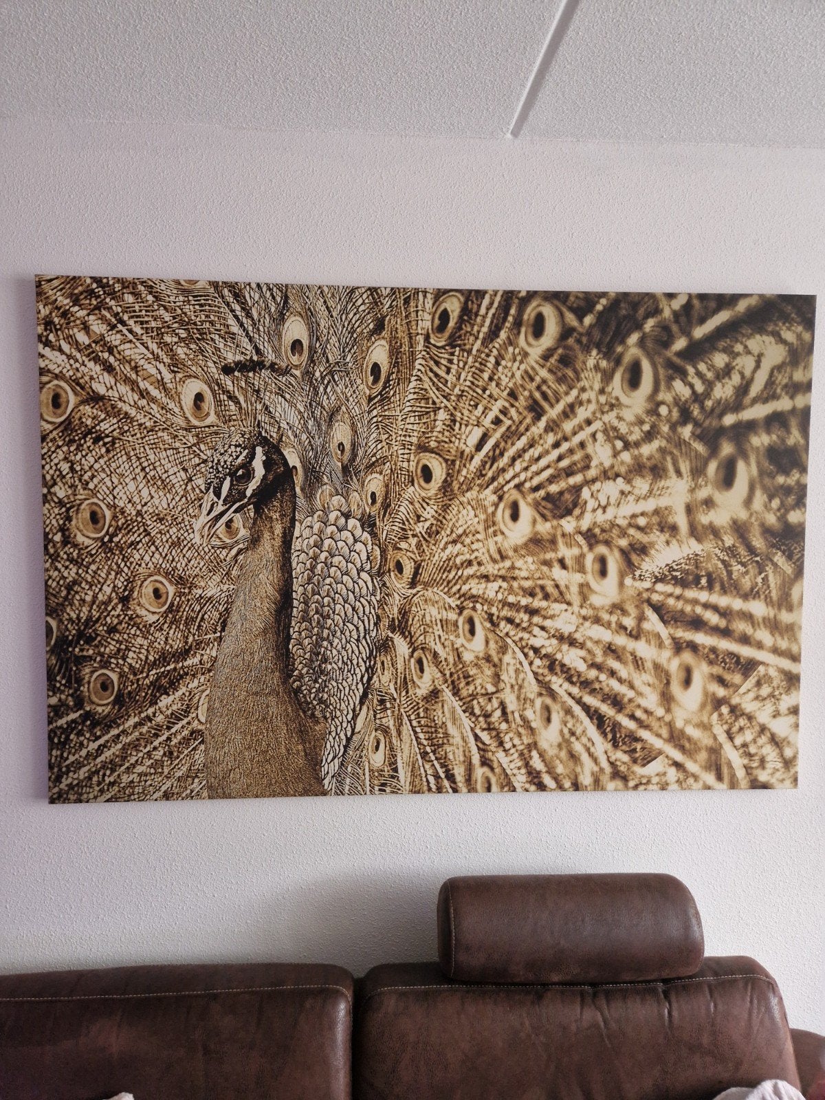 schilderij  van pauw, Ophalen