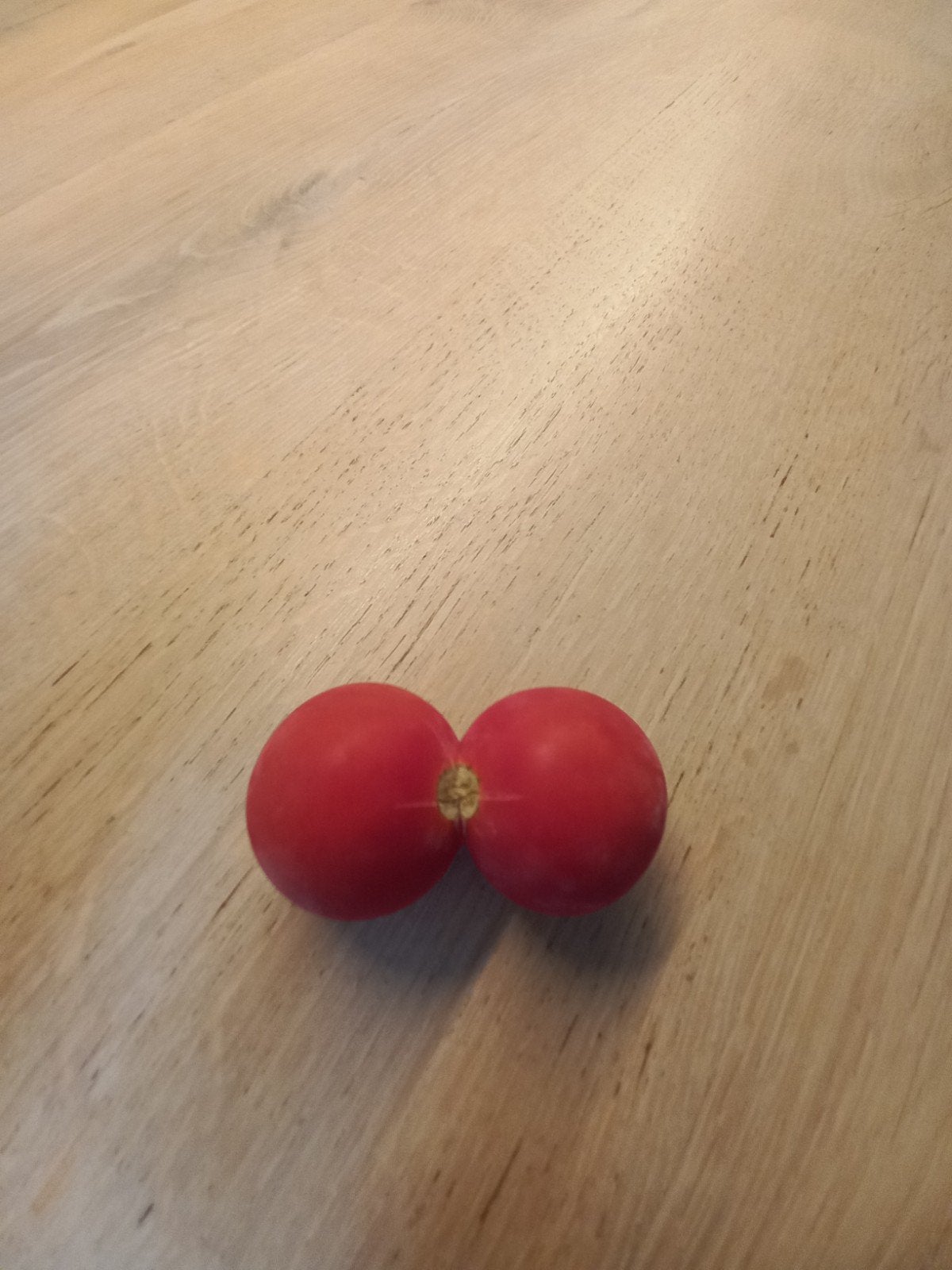 Vers aanelkaargegroeide tomaat=), Maat 38/40 (M), Kort, Zara, Ophalen of Verzenden