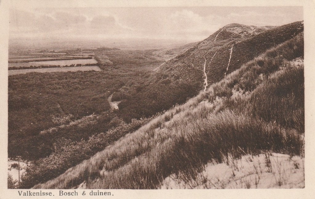 VALKENISSE Bosch en Duinen 1932, Verzenden, 1920 tot 1940, Gelopen, Zeeland