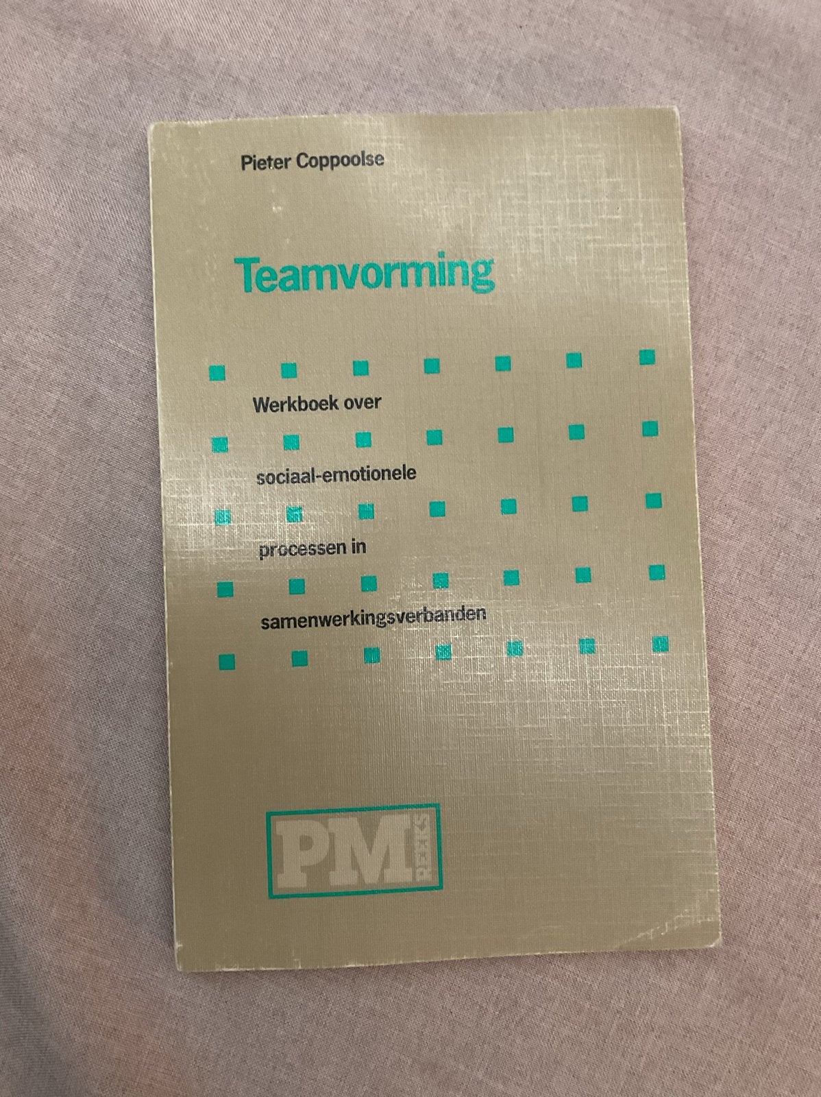 Teamvorming - Werkboek over sociaal-emotionele processen, Ophalen of Verzenden, Gamma, Gelezen, HBO