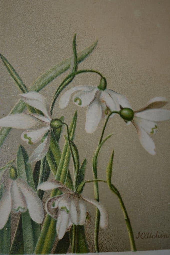 frankrijk scrap reklame sneeuwklokjes 1900, Ophalen of Verzenden, Voor 1920, Sterren en Beroemdheden