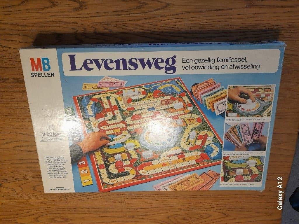 levensweg, Vijf spelers of meer, Ophalen of Verzenden, Gebruikt, MB Spellen