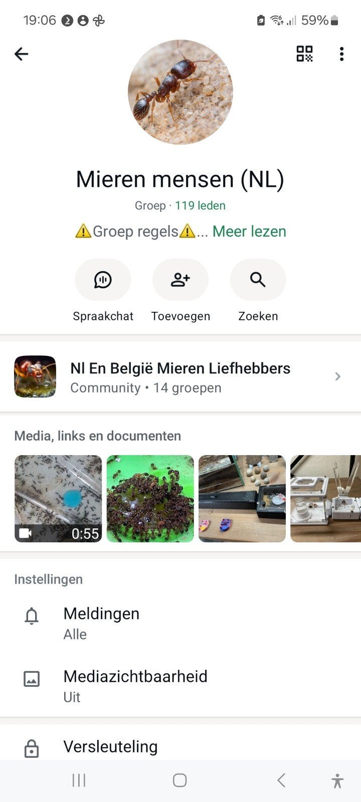 mieren WhatsApp groep, Mieren
