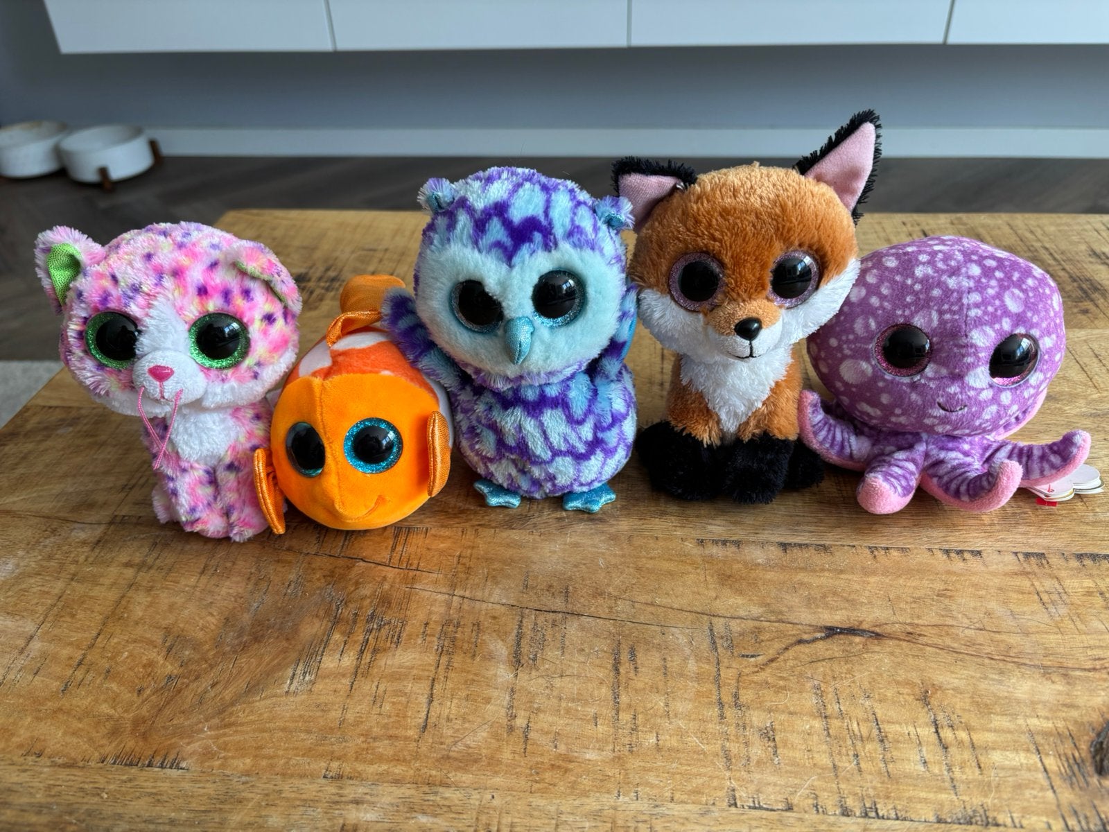 Ty beanie knuffels, Ophalen, Overige typen, Zo goed als nieuw, Klein (minder dan 20 cm)