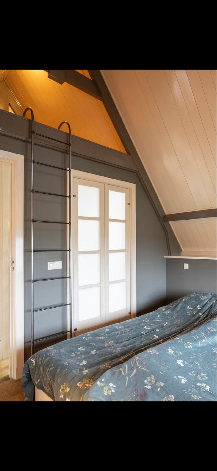 Ensuite deuren: Paneeldeuren met mat glas, Doe-het-zelf en Verbouw, Deuren en Horren, Ophalen, Gebruikt, Binnendeur, 200 tot 215 cm